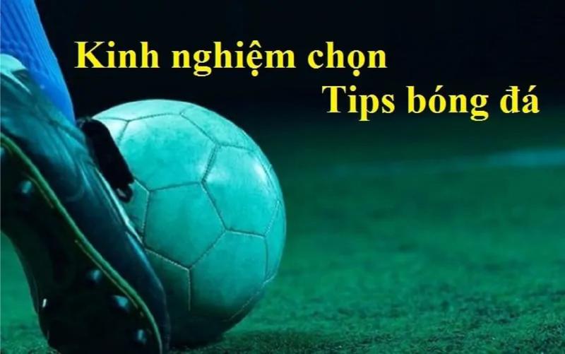 49719211067 e2429e3f72 b Cách đánh giá trang cung cấp tips cá cược bóng đá