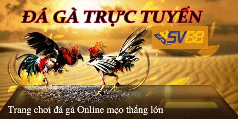 be3694d8 e5b4 4ecd 8ff3 b9ae3510b75f choi da ga online uu diem Game đá gà online