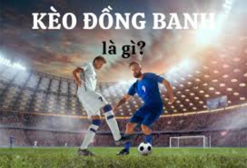 images 63 Những đặc điểm thú vị anh em nên biết