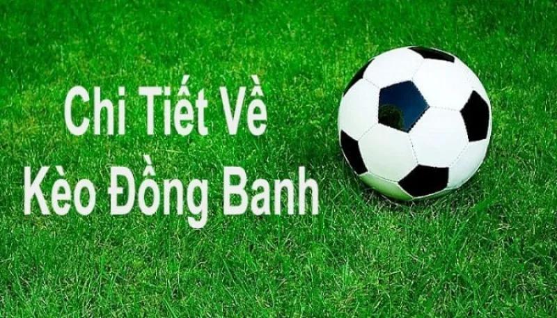 keo dong banh 1 Mẹo đặt cược kèo hoà hiệu quả 100%